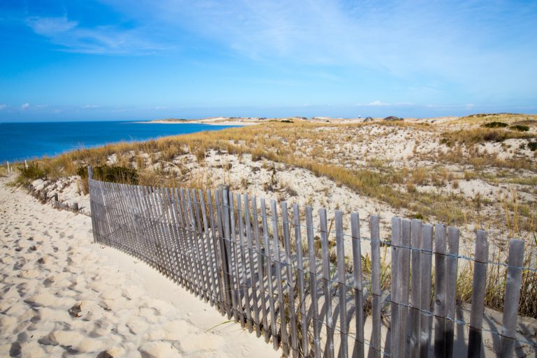 Peaceful Atlantic Ocean seashore view at Cape Henlopen in the State of Delaware a popular destination for relaxation and history.