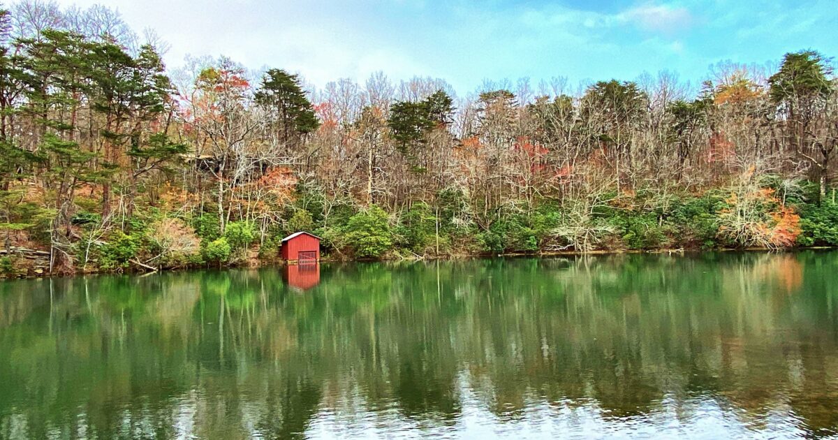 A lovely pond, the perfect place for boondocking in Alabama