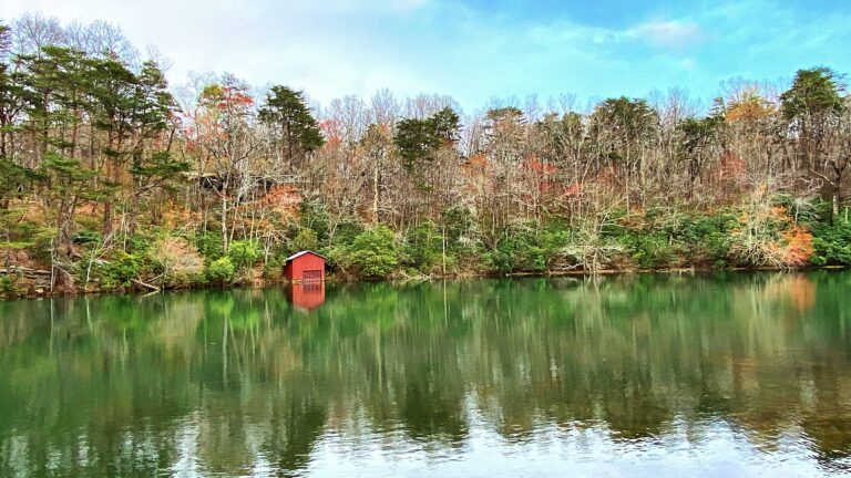 A lovely pond, the perfect place for boondocking in Alabama