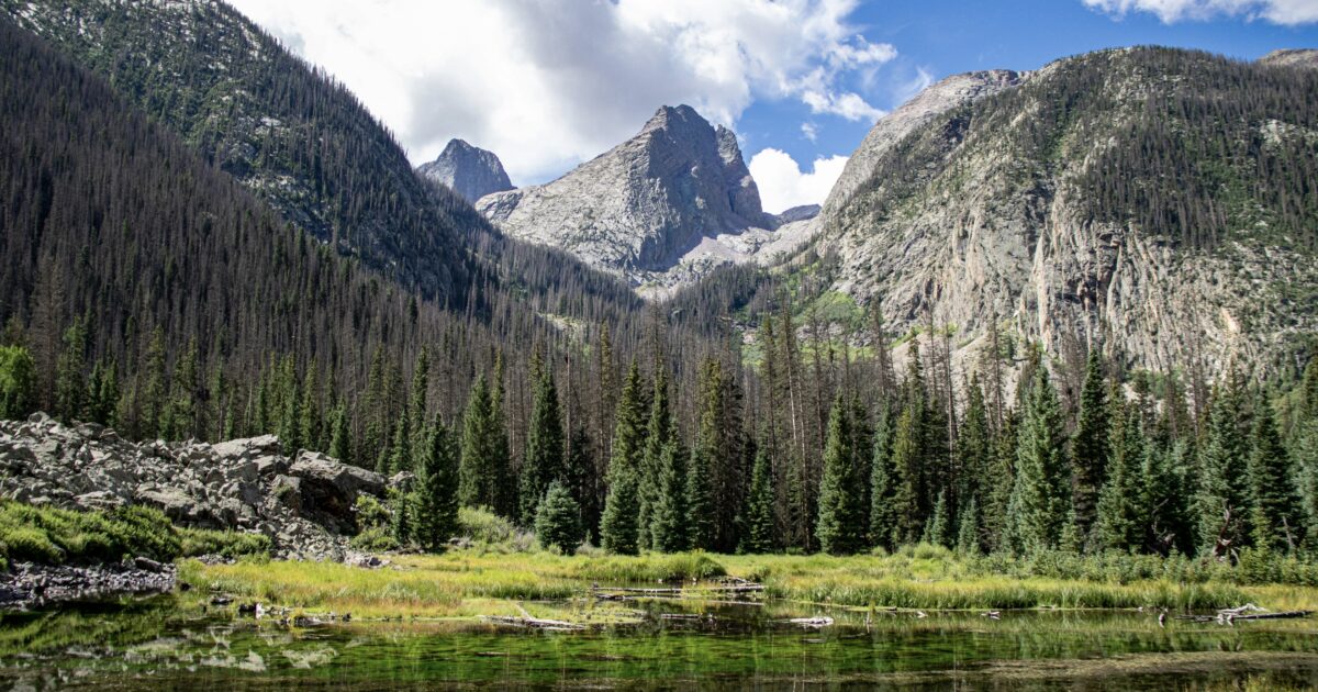 Colorado forest: the perfect place for Colorado boondocking