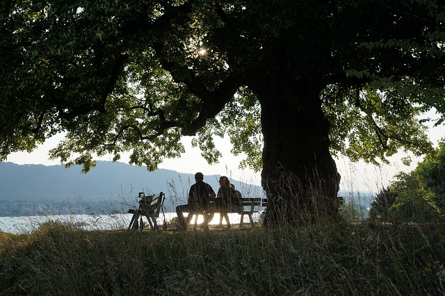 people sitting on a bench at a park