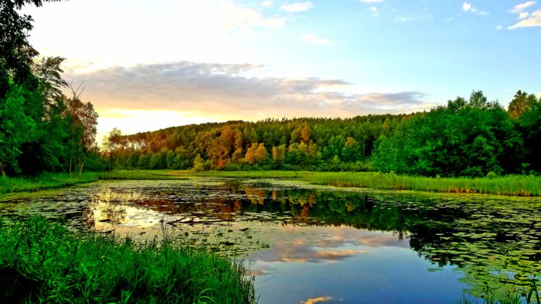 The sun setting over a small opening to a secluded lake within the Chippewa National Forest.