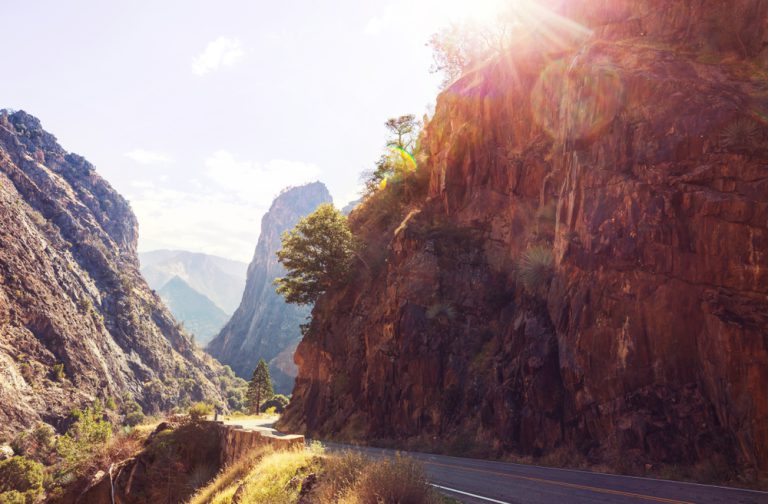 The sun shining on the road through Kings Canyon and Sequioa National Park.