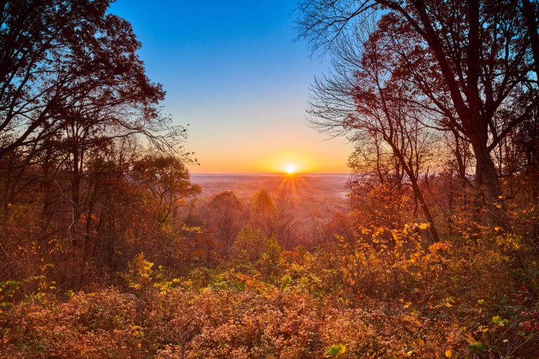 Sunrise over the trees of Brown Co State Park, Indiana.