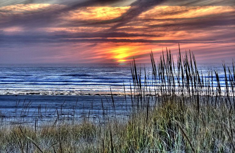 Grayland Beach State Park