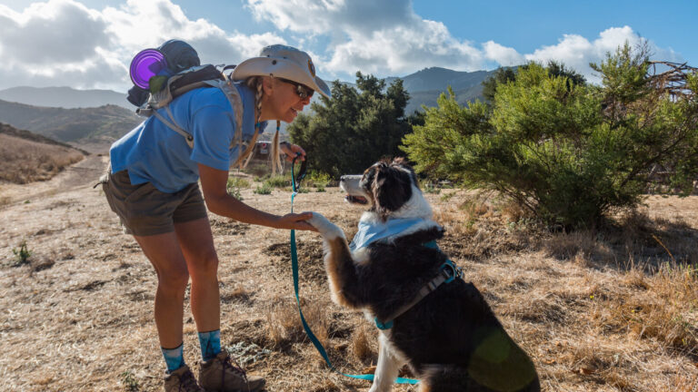 Dog being sworn in as a BARK Ranger