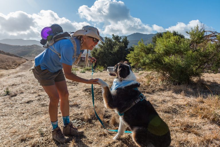 Dog being sworn in as a BARK Ranger