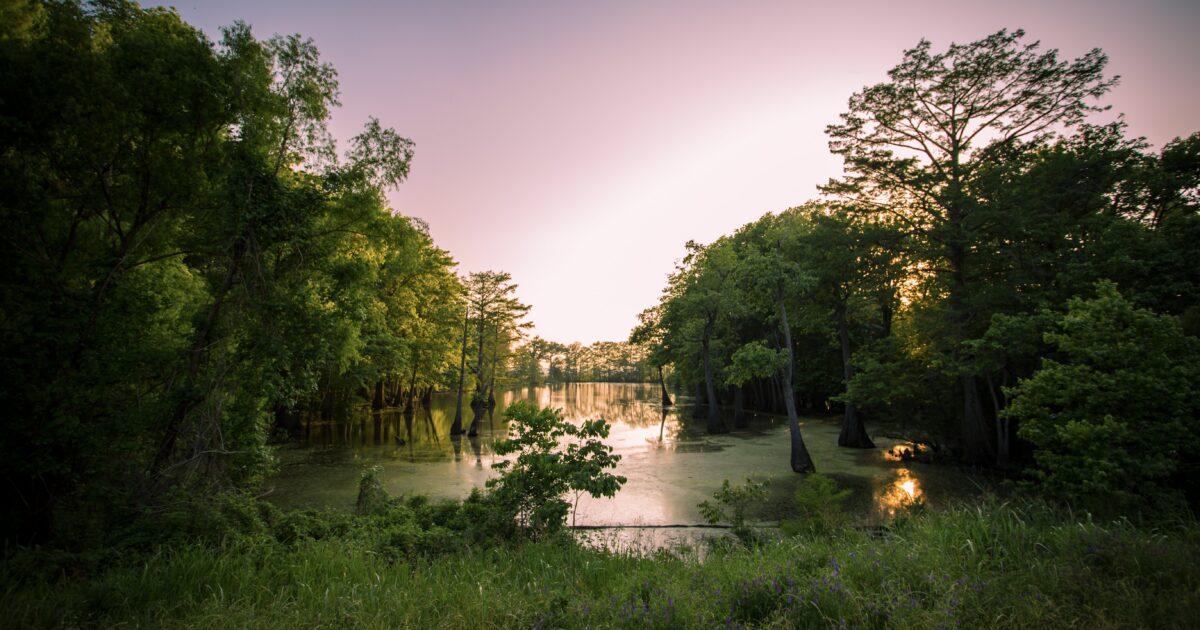Mississippi boondocking view of a bayou