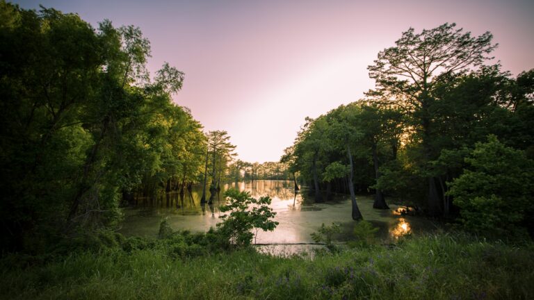 Mississippi boondocking view of a bayou