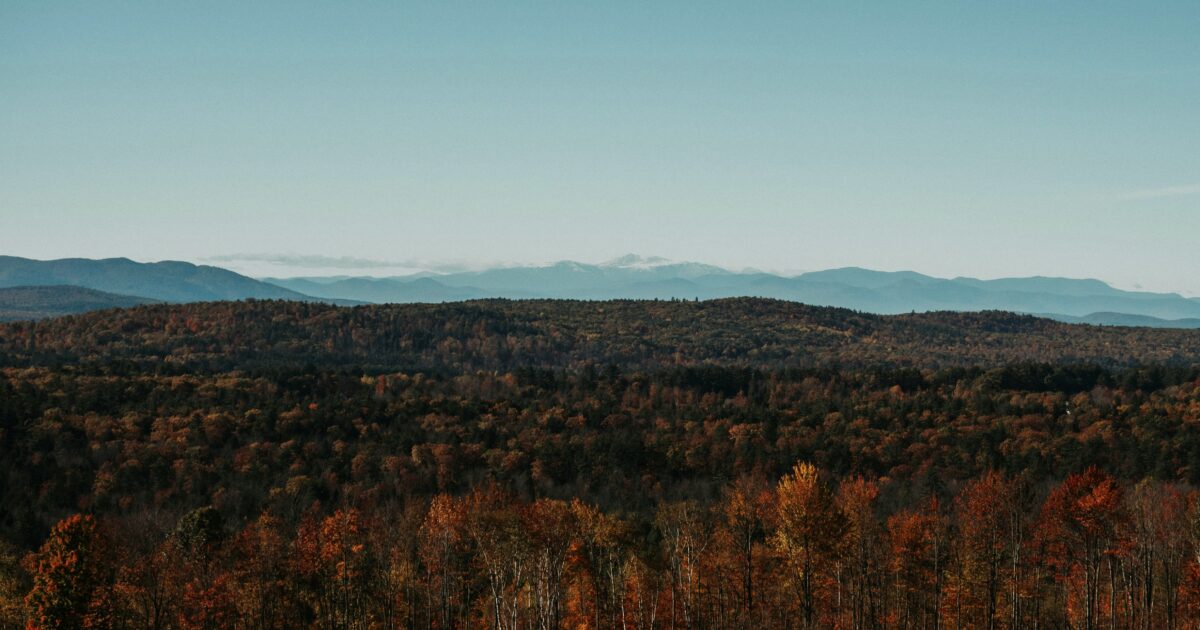 Maine boondocking view of forest in fall