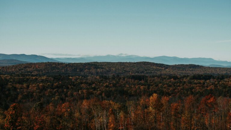 Maine boondocking view of forest in fall