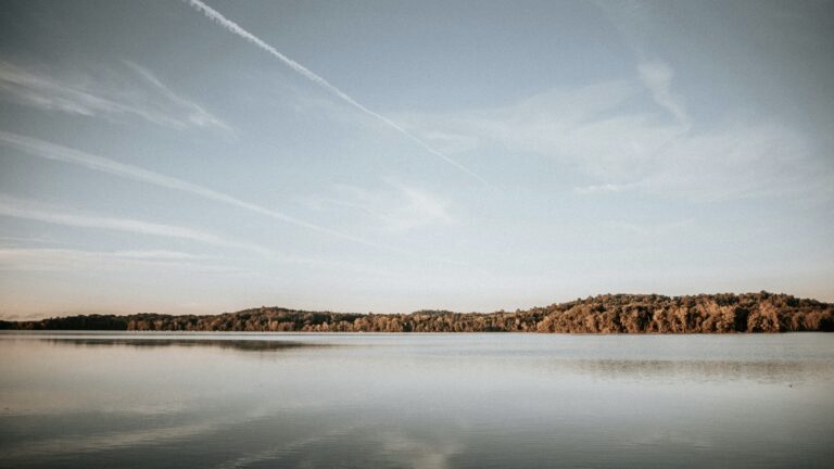 Forest across a lake, something you night see while Ohio boondocking