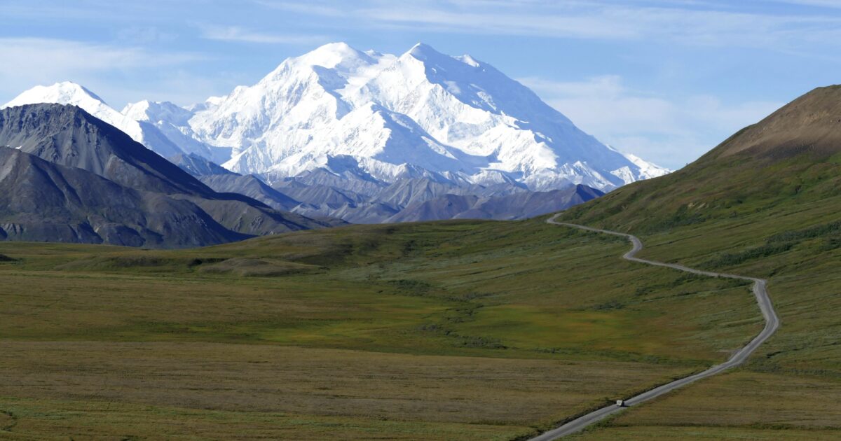 Denali behind a lovely green meadow, one of the best Alaska landmarks