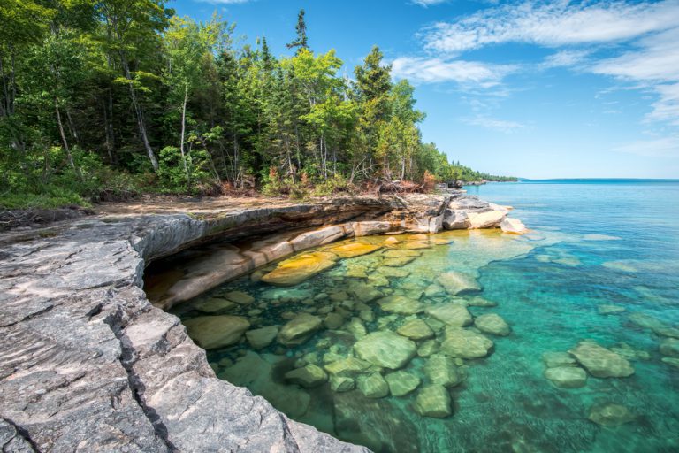 Green trees sit on top of a rocky cliff overlooking a clear turquoise lake with large rocks visible under the water