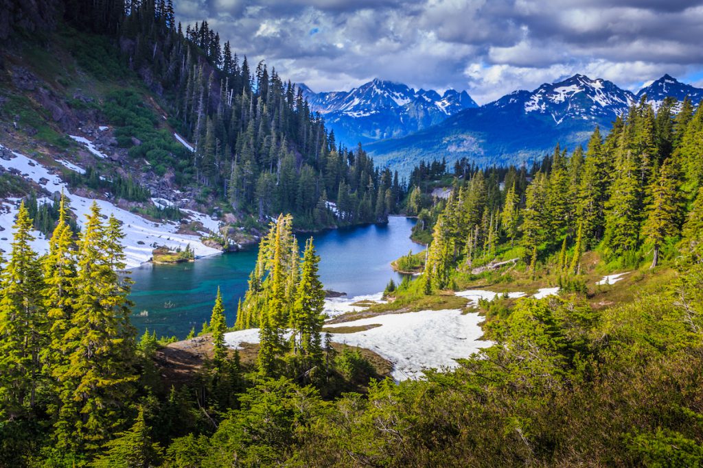 Glacier National Park is a spot where you may see wolves in the wild