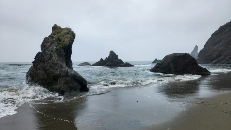 A rocky beach with the tide coming in under an overcast gray sky.