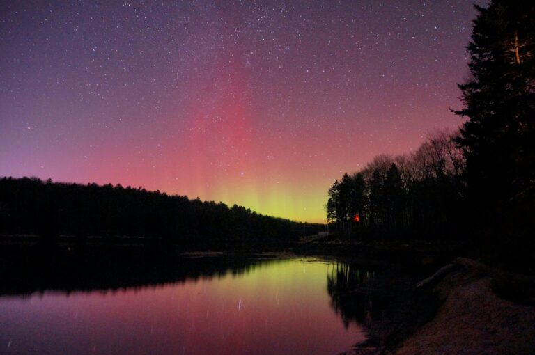 The purple, pink, and green Aurora Borealis over shadows of trees with a reflection of the sky and stars in a lake