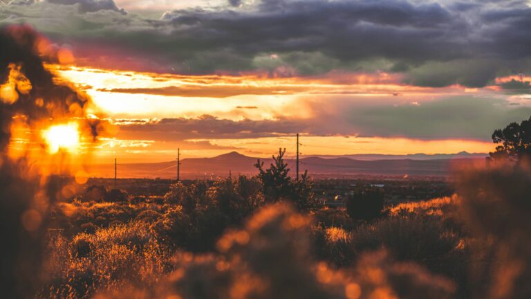 An outline of distant mountains with desert shrubbery in the foreground and a golden sunset above