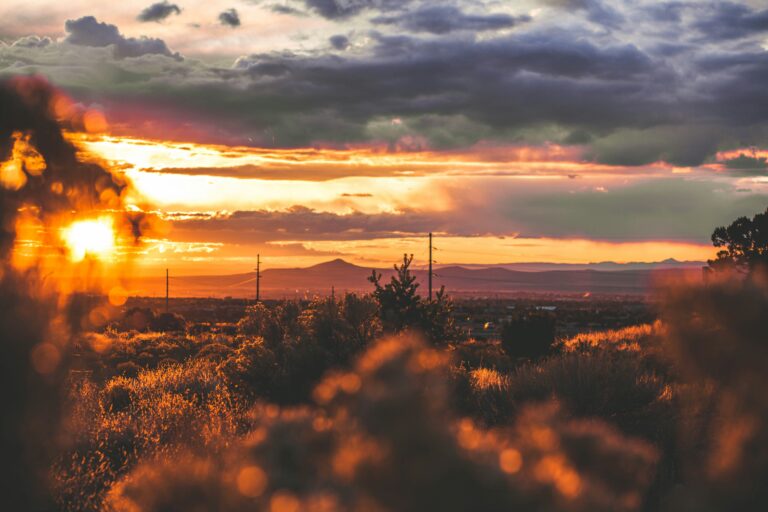 An outline of distant mountains with desert shrubbery in the foreground and a golden sunset above