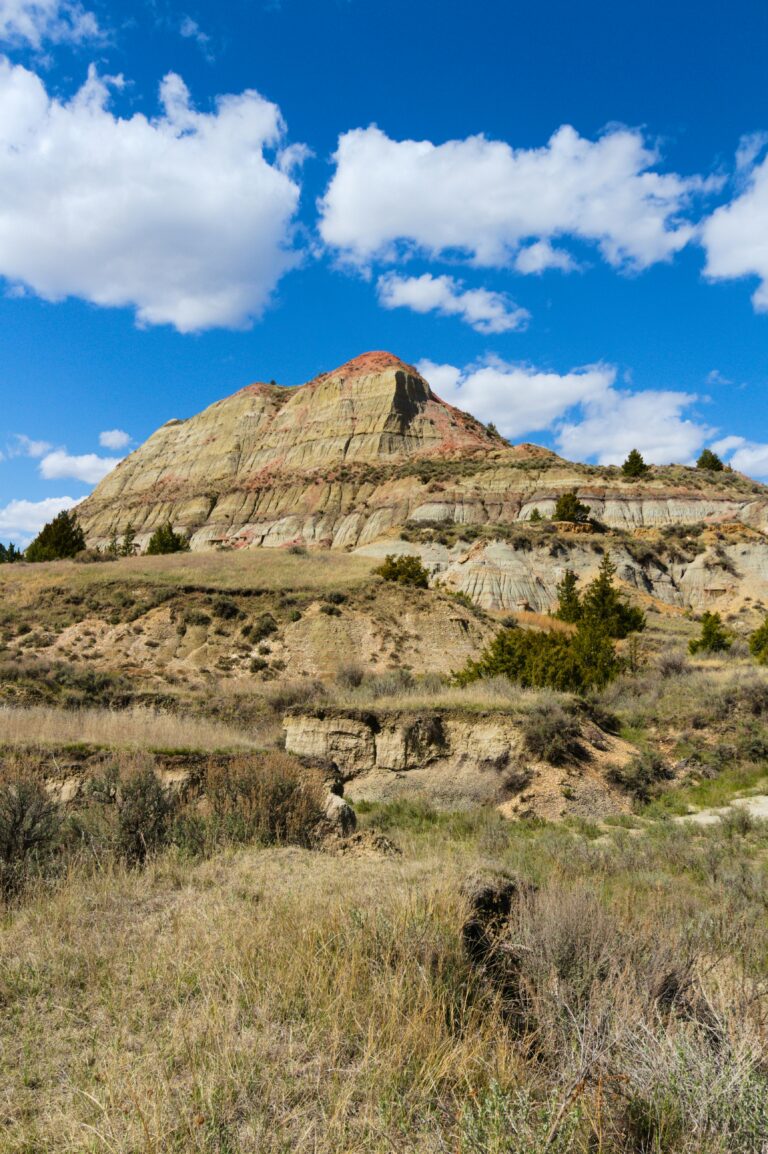 A camera-shy wild animal hides in the brush before a rocky hill beneath a blue sky in Theodore Roosevelt National Park.