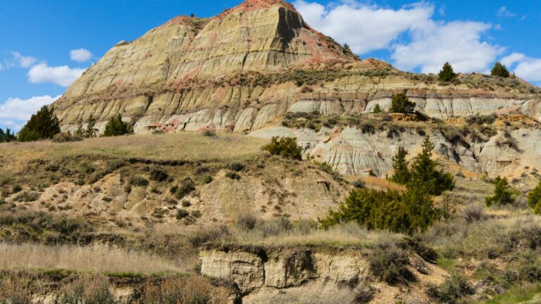 A camera-shy wild animal hides in the brush before a rocky hill beneath a blue sky in Theodore Roosevelt National Park.