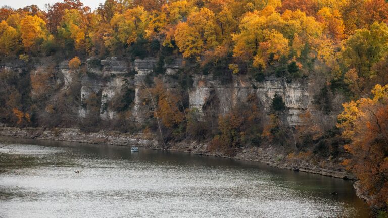 A body of water sits below a cliff topped with trees with browning foliage