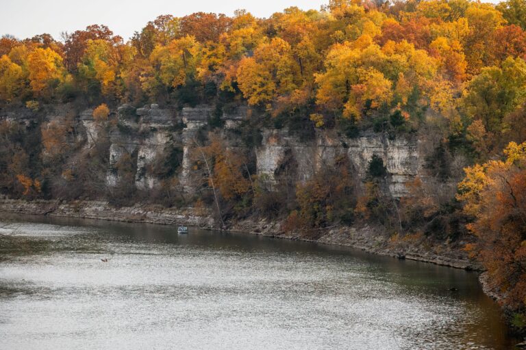 A body of water sits below a cliff topped with trees with browning foliage