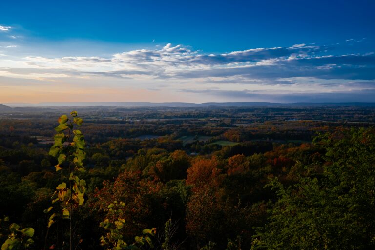 A wide, green and orange valley of trees with hilltops in the background under a partly cloudy sky.