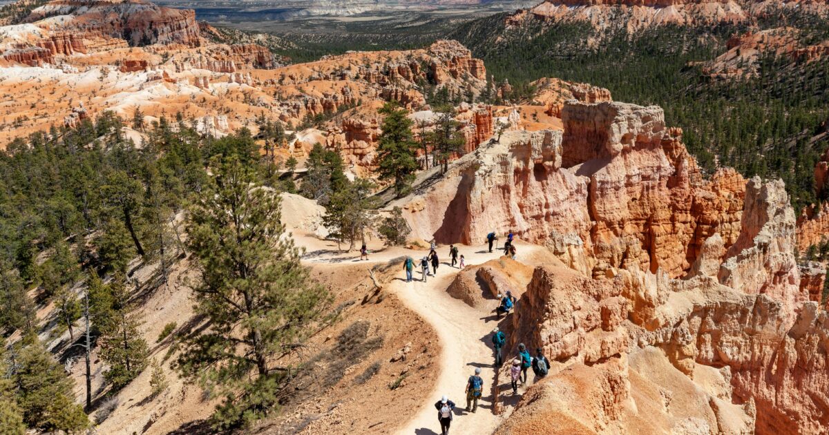 A group of people hiking along a path in a desert canyon surrounded by red cliffs in the daytime.