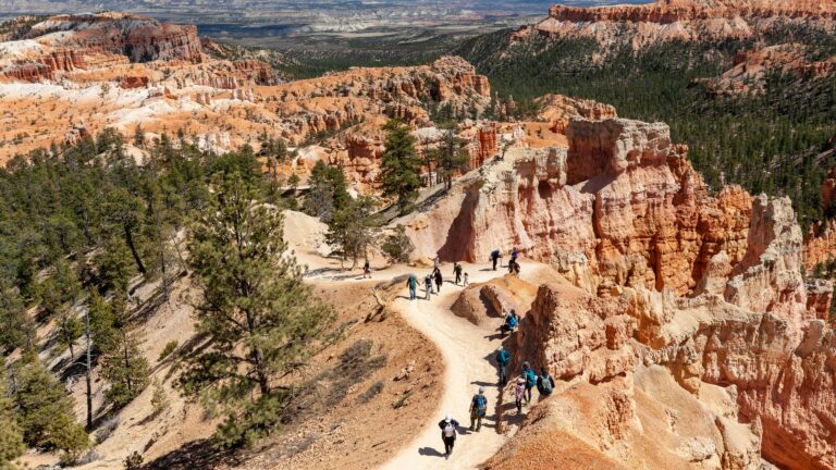 A group of people hiking along a path in a desert canyon surrounded by red cliffs in the daytime.