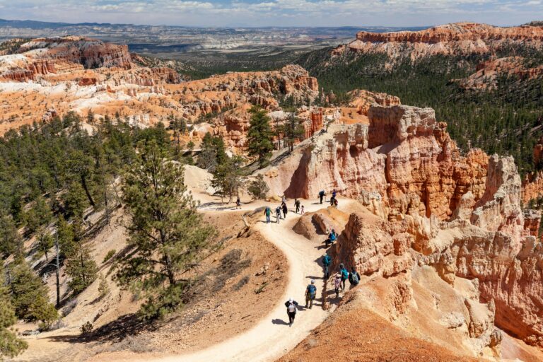 A group of people hiking along a path in a desert canyon surrounded by red cliffs in the daytime.