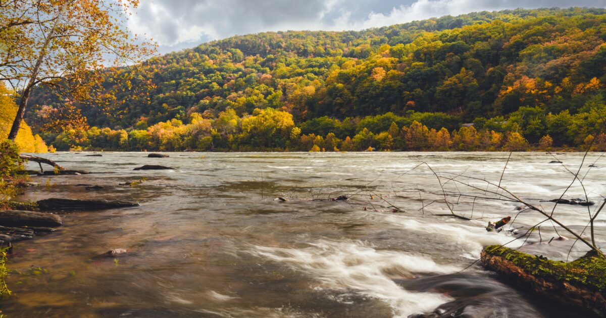 A background of green and orange trees on a hill with a wide body of running water in front of it