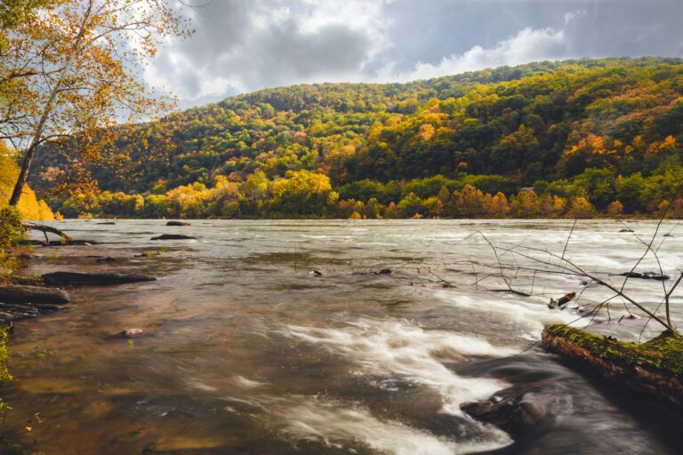 A background of green and orange trees on a hill with a wide body of running water in front of it