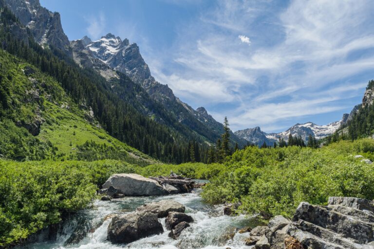 A rushing stream surrounded by lush green vegetation and tall pine trees, with towering, snow-capped mountain peaks in the distance