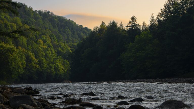 Body of water amongst trees; a beautiful place for Pennsylvania boondocking