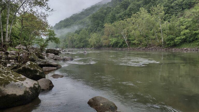 River running through forest, something you might see while West Virginia boondocking