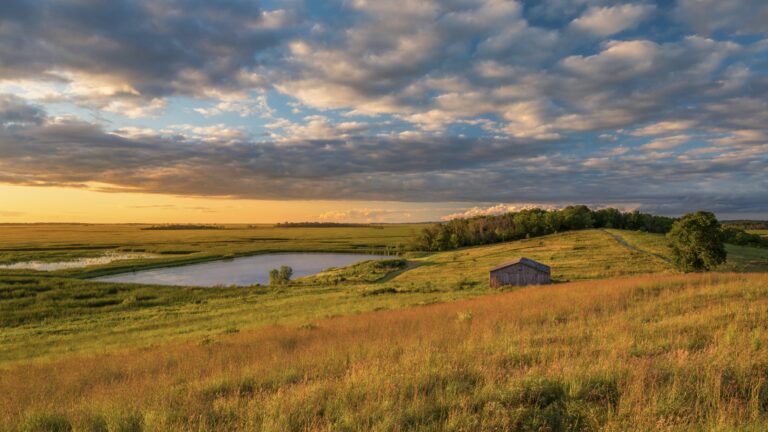 A barn in a yellow field, something you might see while boondocking Wisconsin