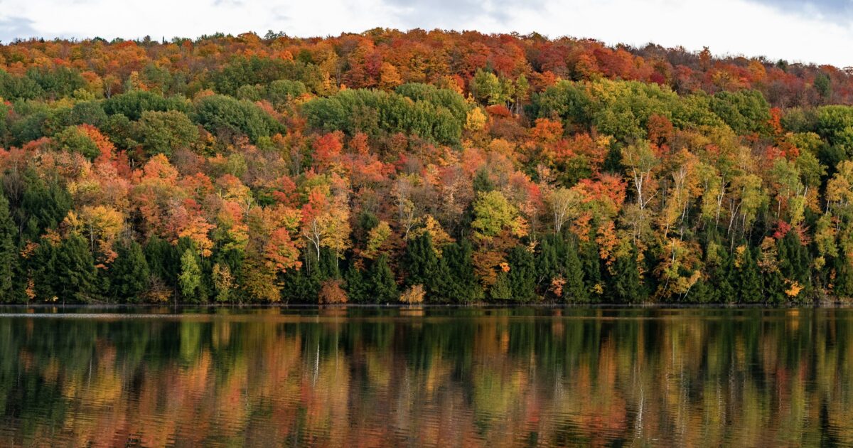 Beautiful fall foliage across a lake, a sight you might see while Vermont boondocking