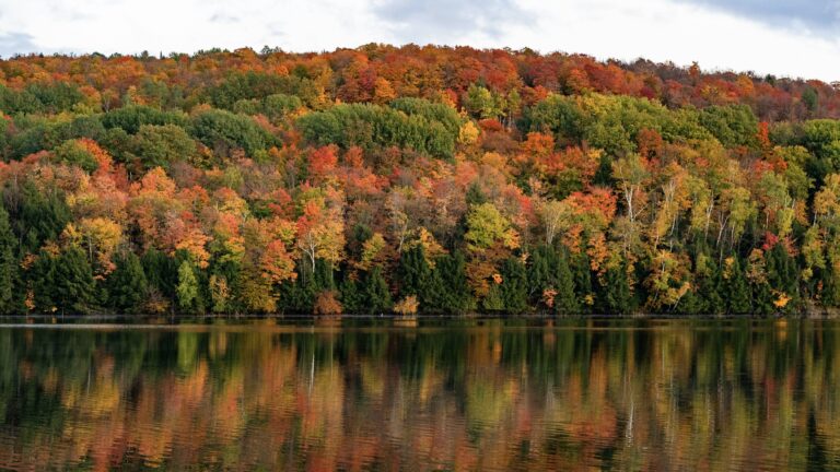 Beautiful fall foliage across a lake, a sight you might see while Vermont boondocking