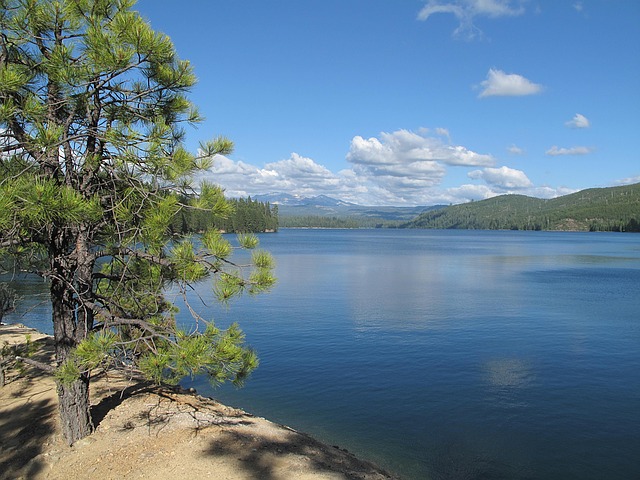 a remote lake in Nevada