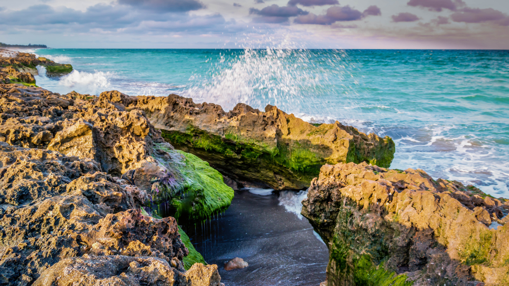 Blowing Rocks Florida