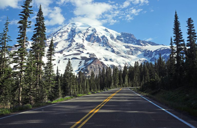 A road winds through an evergreen forest in the foothills of a huge, snow-covered mountain.