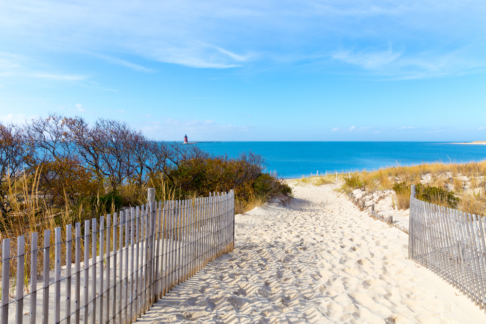 A pathway to the shore at the Delaware seaside with a view of a lighthouse.