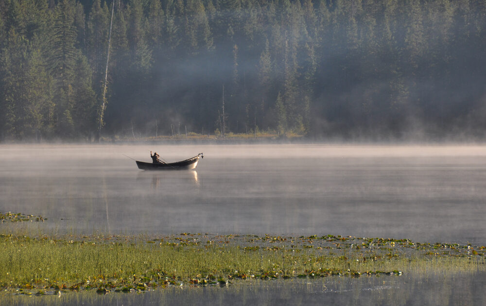Fog lifts off the water of a lake with floating green plants, a single person in a boat sits fishing in Oregon.