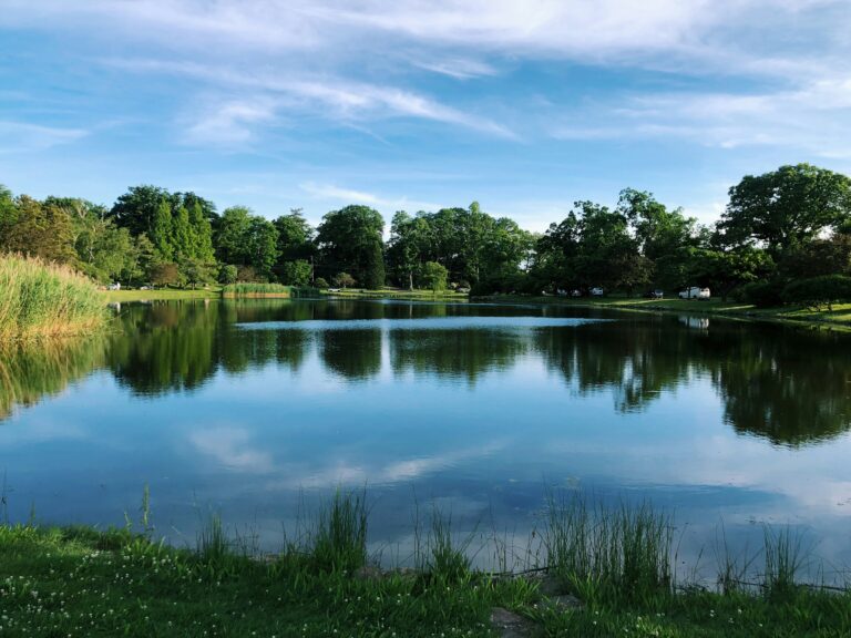 A Connecticut lake surrounded by green trees.