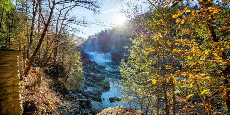 A blue waterfall tumbles into a river surrounded by green and yellow trees.