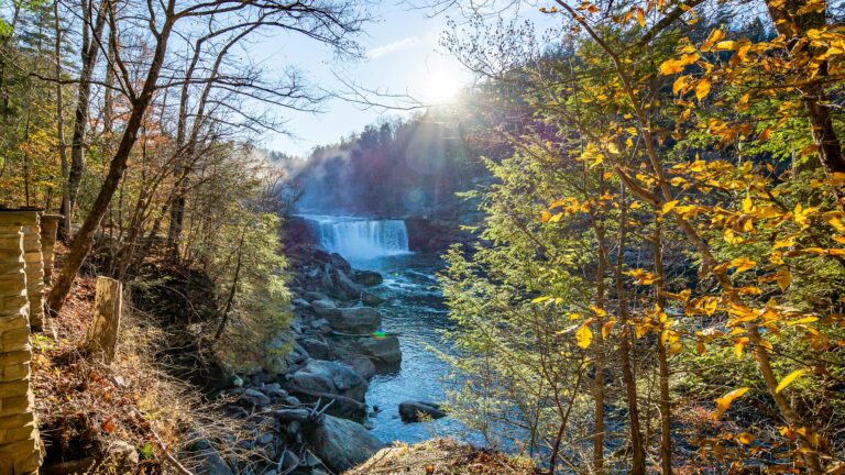 A blue waterfall tumbles into a river surrounded by green and yellow trees.