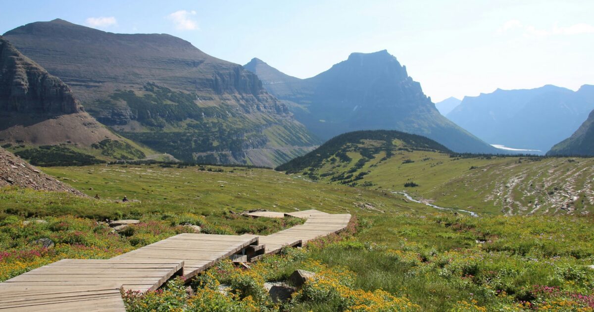 Wooden boardwalk winding through a meadow filled with colorful wildflowers, surrounded by lush green hills and towering mountain peaks