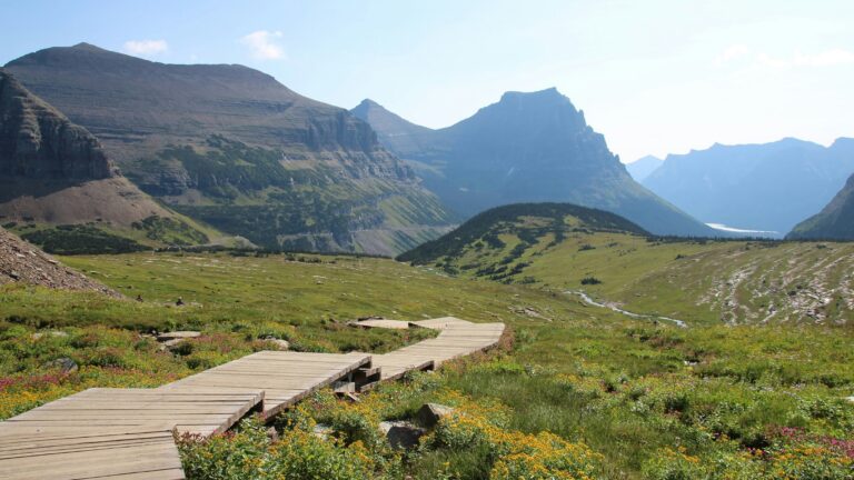 Wooden boardwalk winding through a meadow filled with colorful wildflowers, surrounded by lush green hills and towering mountain peaks