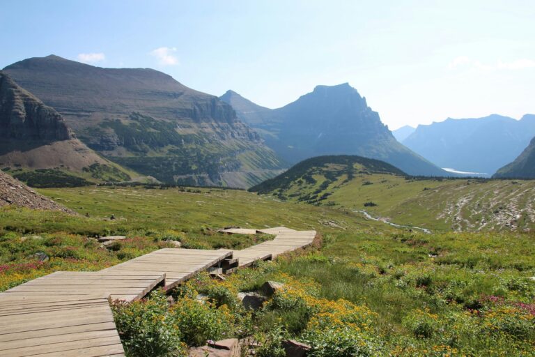 Wooden boardwalk winding through a meadow filled with colorful wildflowers, surrounded by lush green hills and towering mountain peaks